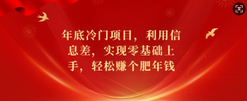 年底冷门项目，利用信息差，实现零基础上手，轻松赚个肥年钱【揭秘】-翔云学社