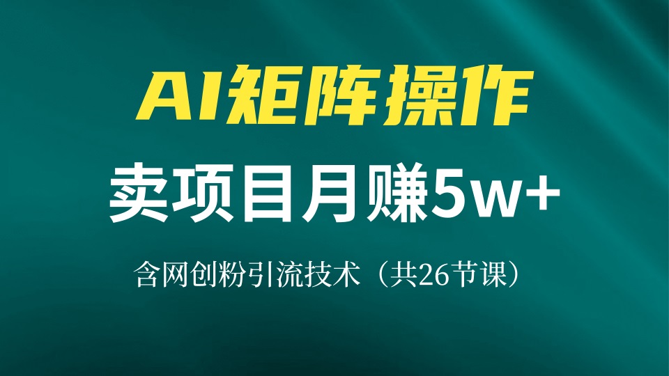 网创IP打造课，借助AI卖项目月赚5万+，含引流技术(共26节课-翔云学社