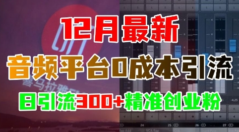 12月最新：音频平台0成本引流，日引流300+精准创业粉-翔云学社