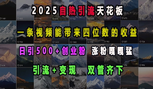 2025自热引流天花板，一条视频能带来四位数的收益，引流+变现双管齐下，日引500+创业粉，涨粉嘎嘎猛-翔云学社