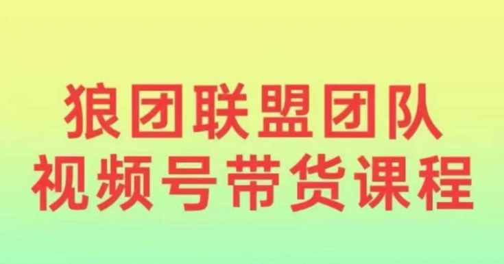 狼团联盟2024视频号带货，0基础小白快速入局视频号-翔云学社