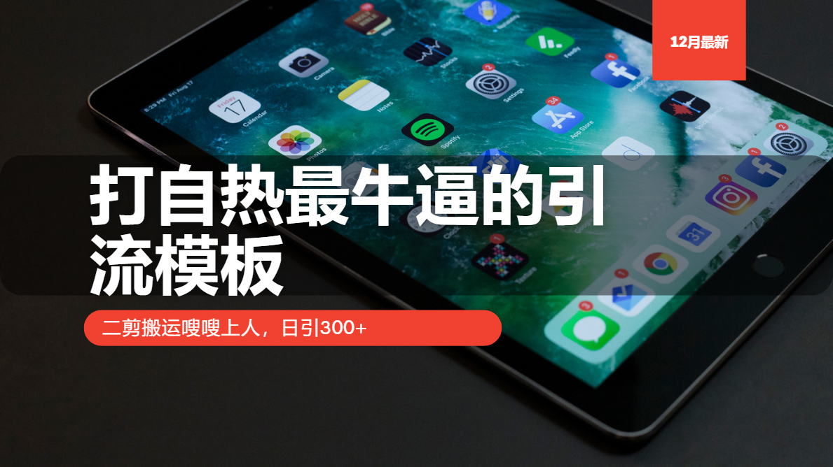 打自热最牛逼的引流模板，二剪搬运嗖嗖上人，日引300+-翔云学社