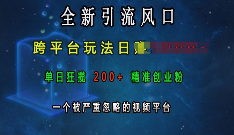 全新引流风口，跨平台玩法日入上k，单日狂揽200+精准创业粉，一个被严重忽略的视频平台-翔云学社