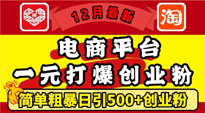 12月最新：电商平台1元打爆创业粉，简单粗暴日引500+精准创业粉，轻松月入过W【揭秘】-翔云学社