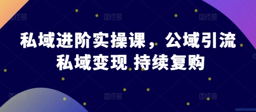 私域进阶实操课，公域引流 私域变现 持续复购-翔云学社