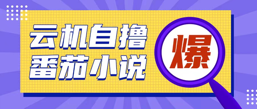 首发云手机自撸小说玩法，10块钱成本可撸200+收益操作简单【揭秘】-翔云学社