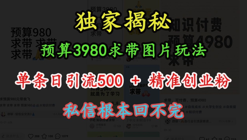 预算3980求带 图片玩法，单条日引流500+精准创业粉，私信根本回不完-翔云学社