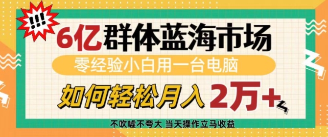 6亿群体蓝海市场，零经验小白用一台电脑，如何轻松月入过w【揭秘】-翔云学社