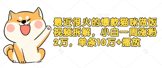 最近很火的爆款猫咪做饭视频拆解，小白一周涨粉2万，单条10万+播放(附保姆级教程)-翔云学社