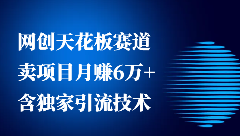 网创天花板赛道，卖项目月赚6万+，含独家引流技术(共26节课)-翔云学社