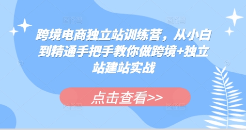 跨境电商独立站训练营，从小白到精通手把手教你做跨境+独立站建站实战-翔云学社