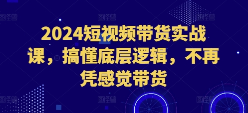 2024短视频带货实战课，搞懂底层逻辑，不再凭感觉带货-翔云学社