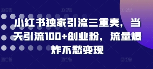 小红书独家引流三重奏，当天引流100+创业粉，流量爆炸不愁变现【揭秘】-翔云学社