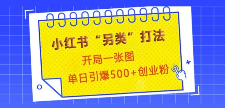 小红书“另类”打法，开局一张图，单日引爆500+精准创业粉【揭秘】-翔云学社