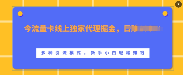 流量卡线上独家代理掘金，日入1k+ ，多种引流模式，新手小白轻松上手【揭秘】-翔云学社