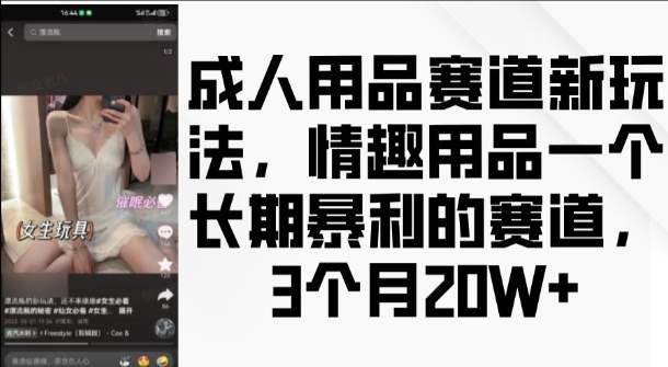 成人用品赛道新玩法，情趣用品一个长期暴利的赛道，3个月收益20个【揭秘】-翔云学社