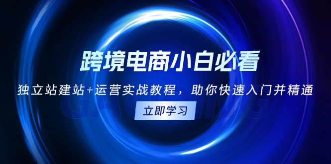 跨境电商小白必看！独立站建站+运营实战教程，助你快速入门并精通-翔云学社