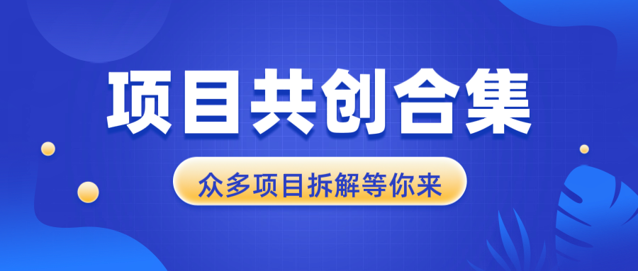 项目共创合集，从0-1全过程拆解，让你迅速找到适合自已的项目-翔云学社