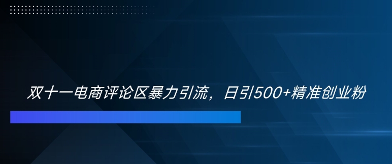 双十一电商评论区暴力引流，日引500+精准创业粉【揭秘】-翔云学社