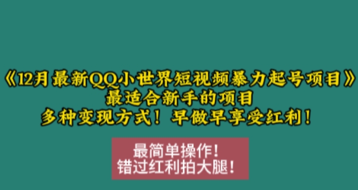 12月最新QQ小世界短视频暴力起号项目，最适合新手的项目，多种变现方式-翔云学社